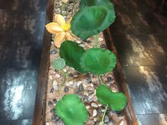 -素心斋素食餐厅