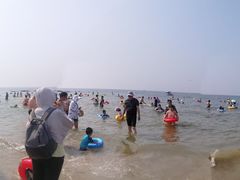-鲸鱼先生·海鲜烤肉海景餐厅