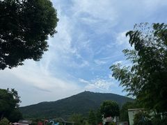 -无锡动物园·太湖欢乐园