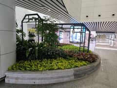 -广州白云国际机场-T2航站楼