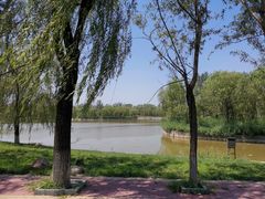 -杨柳青庄园