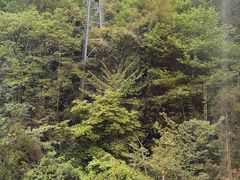 -青城山