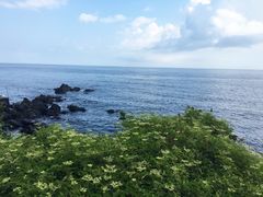 -龙头岩(Dragon Head Rock)