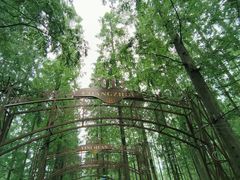 -东平国家森林公园
