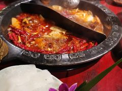 -袁老四重庆老火锅(桐梓坡店)