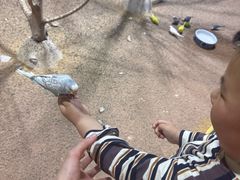 -上海大自然野生昆虫馆(东方明珠·爬宠昆虫探索中心)