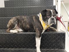 -咕叽咕叽自助烤肉小火锅(西城广场购物中心店)