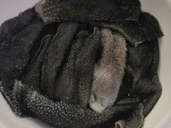 -毛二老火锅