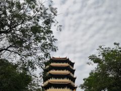 -福神岗公园
