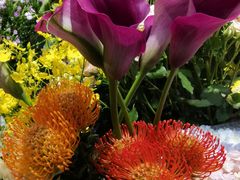 -爱尚幸福鲜花(上地实体店)