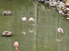 -石排湾郊野公园