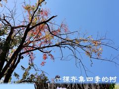 -东坡赤壁风景名胜区