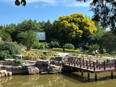 -北京西山国家森林公园