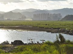 -北岐滩涂