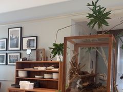 -一尺花园(安和花园店)