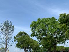 -东钱湖小普陀景区