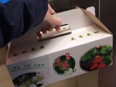 -尚田草莓姑娘白草莓采摘基地