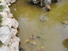 -绿色菜园·农家土菜(贤山店)