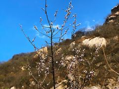 -碓臼峪自然风景区