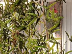 -徽镇小厨·经典徽菜(十里河店)