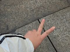 -味子夫鸡柳(解放碑总店)