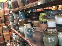 -桂林市花鸟市场