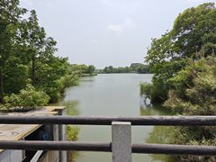 -苏州太湖国家湿地公园