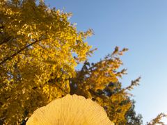 -苏州河梦清园环保主题公园