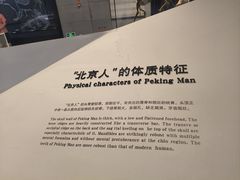 -北京周口店北京人遗址博物馆