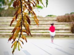 -颐景园