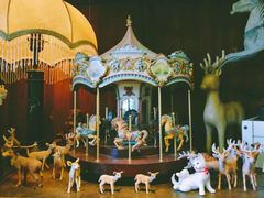 -懒鱼时光馆(沙坪坝店)