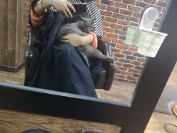 -青木造型HAIR·あおき髪を刈る潮人店