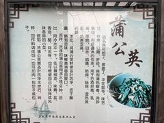 -宏泰园蔬果专业合作社