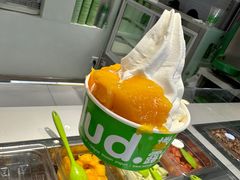 -Salud撒露欧洲冻酸奶(798艺术区店)