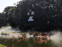 -广州长隆飞鸟乐园