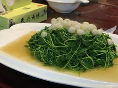 豆苗-吴门人家·苏宴宫廷菜(拙政园店)