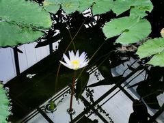 -北京植物园南门售票处