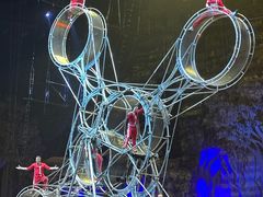 -广州长隆国际大马戏