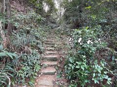 -南山植物园