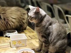-小时光咖啡馆(开森度假森林店)