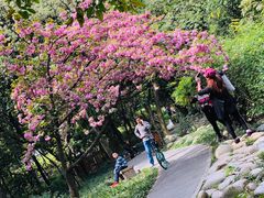 -成都市活水公园