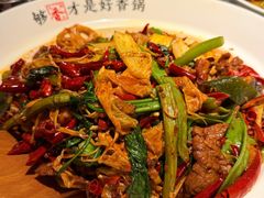 麻辣香锅-川成元·麻辣香锅(凯德MALL西直门店)
