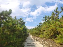 -五龙城郊森林公园