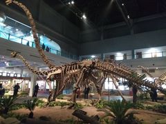 -自贡恐龙博物馆