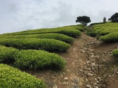 -许家山