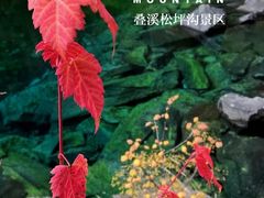 -叠溪松坪沟景区