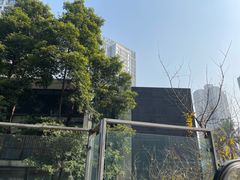 -龙头寺公园