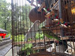 -哈哈曲艺社(西门闲亭店)