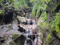 -牛背梁国家森林公园