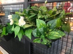 -百特喜·意大利餐厅(八佰伴镇江店)